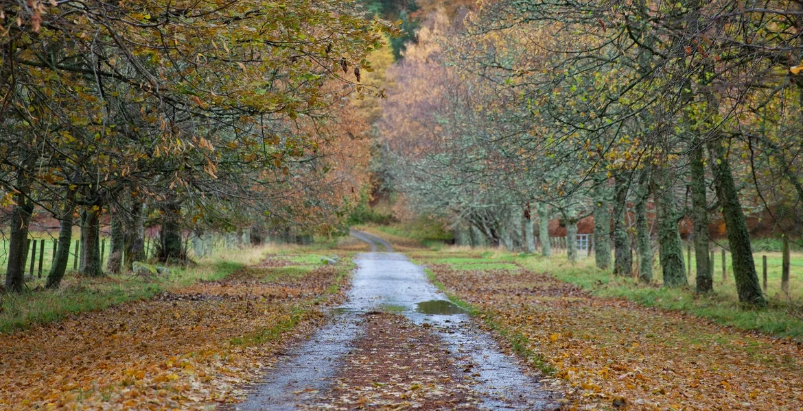 Autum Van Rental Guide